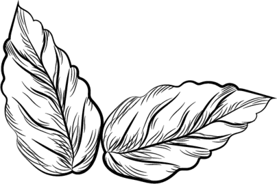 Le Tigre : Retrouvez le Goût de l'Authenticité et de la Fraîcheur en Alsace